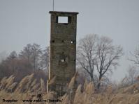 Imagine atasata: Bega - 2015.01.17 - 098.jpg